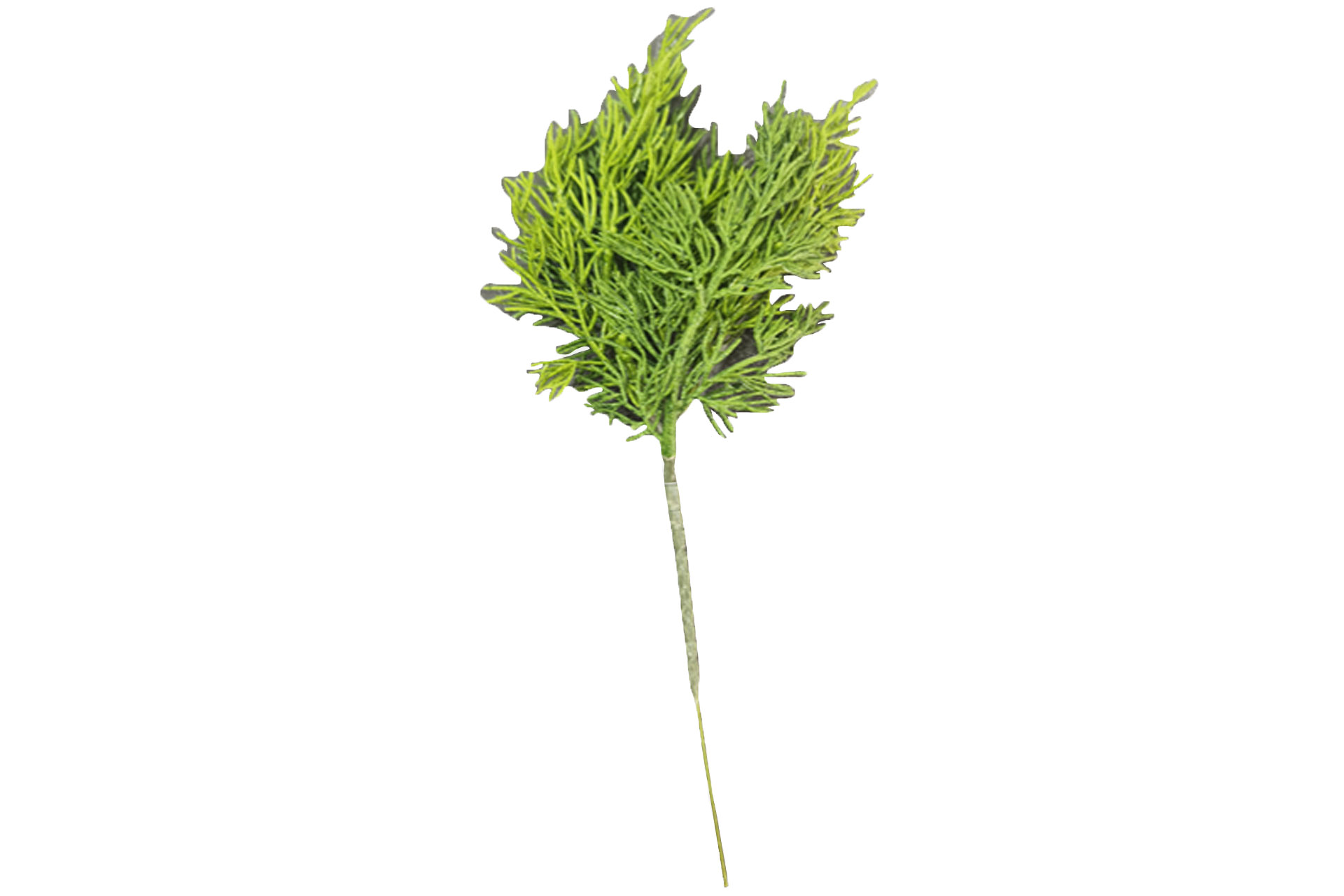 Weihnachtsdeko "Tannenpick Thuja", 31x10cm, grün